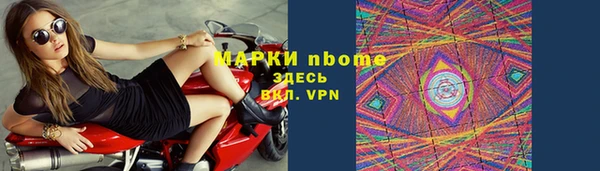стаф Алзамай