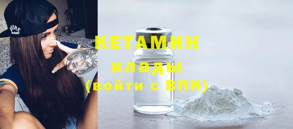 стаф Алзамай