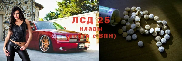 стаф Алзамай