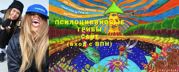 спиды Алексеевка